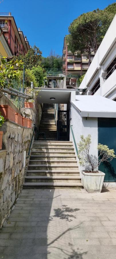 拉帕洛Casa Alexandra公寓 外观 照片